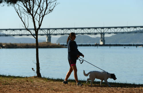 http://extras.mnginteractive.com/live/media/site571/2013/1014/20131014_040615_ewct1015ricbeach02_500.jpg